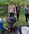 Bhabinkamtibmas Teluk Belengkong Sambangi Pekarangan Warga Tanam Gambas, Dukung Program Asta Cita Ketahanan Pangan Nasional
