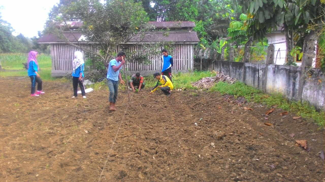 Bersama masyarakat Babinsa Siap Tanam Cabei 1 setengah Hektar