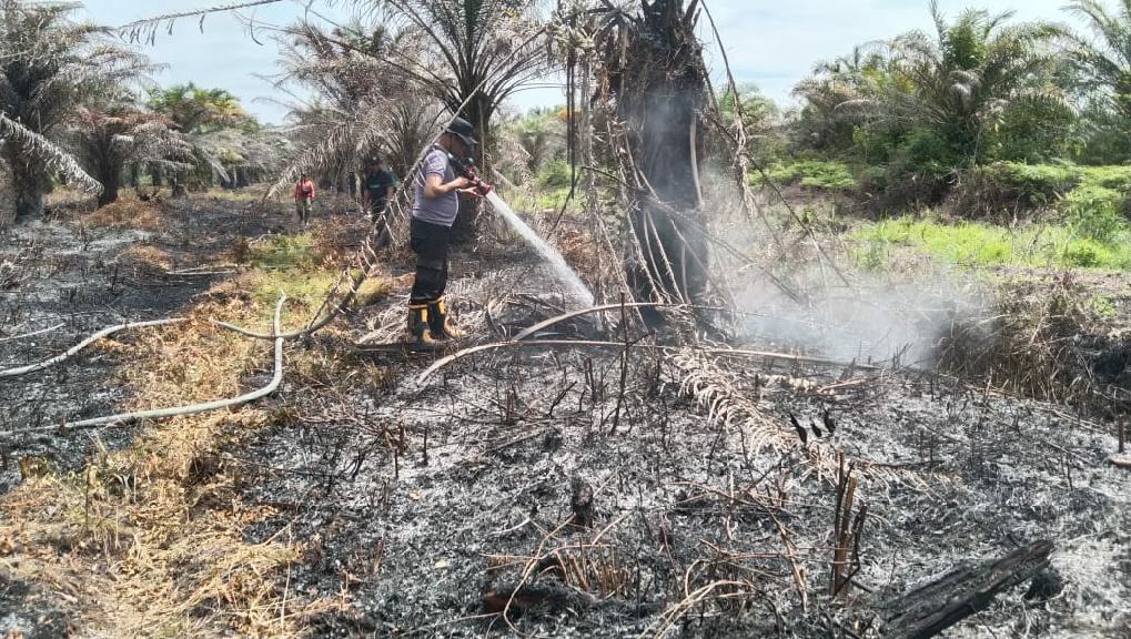 Temukan Kebakaran Lahan, Bhabinkamtibmas dan MPA Karya Indah Lakukan Pemadaman