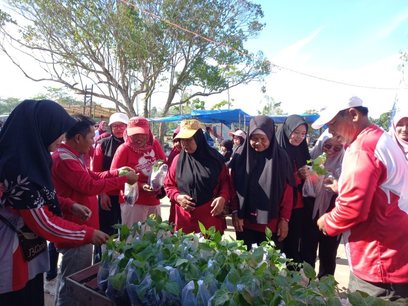 Gebyar Kemerdekaan di Perkebunan Sungai Lala, Semarak Pesta Rakyat dan 2.000 Bibit Sayur untuk Warga