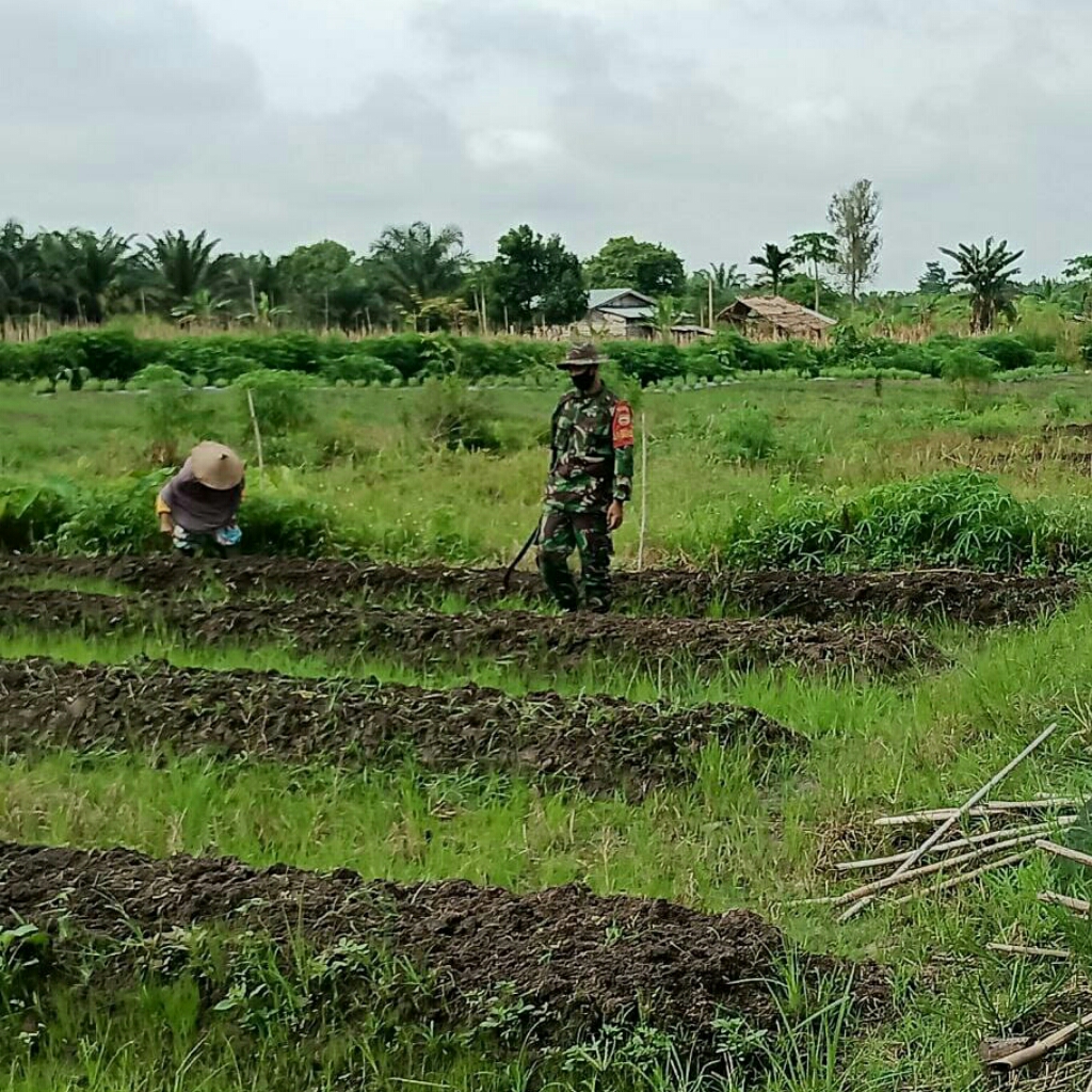 Dengan Hadirnya TNI, Petani Merasa Sangat Terbantu