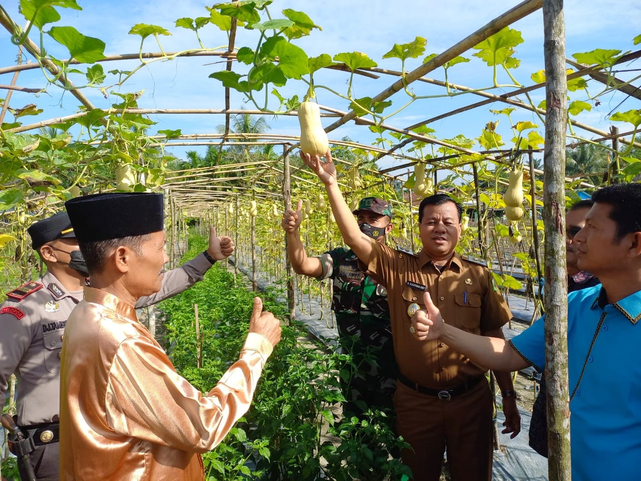 Fahrizal Panen Raya Holtikultura Desa Jalur Patah