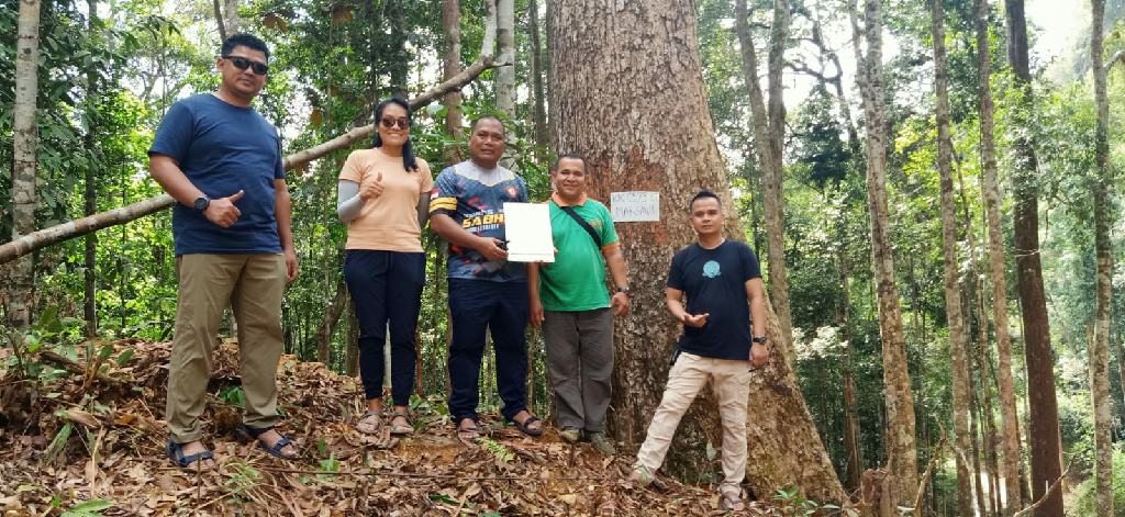 Jaga Kelestarian Hutan Lewat Program Adopsi Pohon, Kapolres Kampar Apresiasi Desa Kebun Tinggi