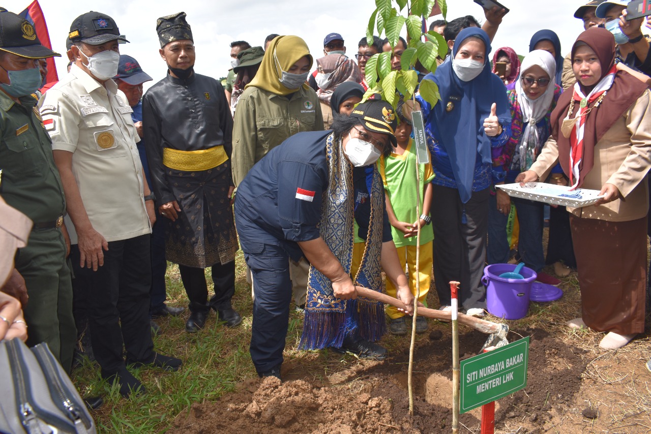 Bupati Inhu Bersama Menteri LHK Tanam Pohon di Tepian Sungai Indragiri