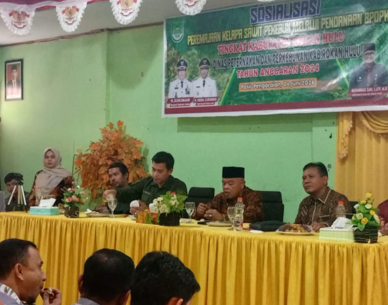 Disnakbun Rokan Hulu Gelar Sosialisasi Peremajaan Kelapa Sawit