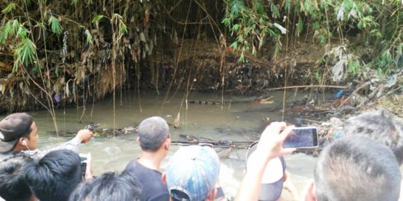 Muncul di Sungai, Buaya Ompong Gegerkan Warga