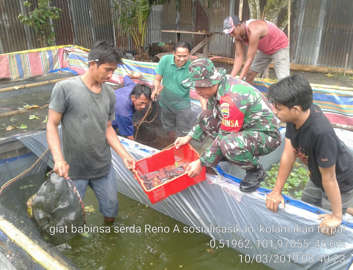 Gunakan Lahan Sempit, Koramil 05/Peranap Sosialisasikan Budidaya Ikan