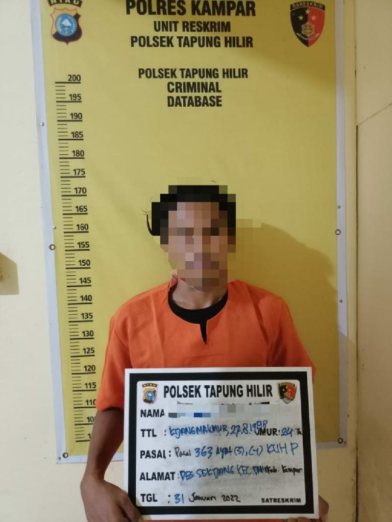 Tertangkap Tangan Mencuri TBS PT. Naga Mas, Pelaku Diamankan Polsek Tapung Hilir