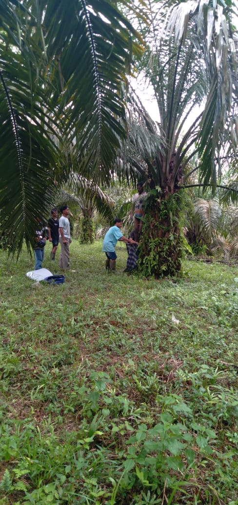 Lagi, Kejadian Orang Gantung Diri, Kali Ini Terjadi di Kecamatan Rakit Kulim