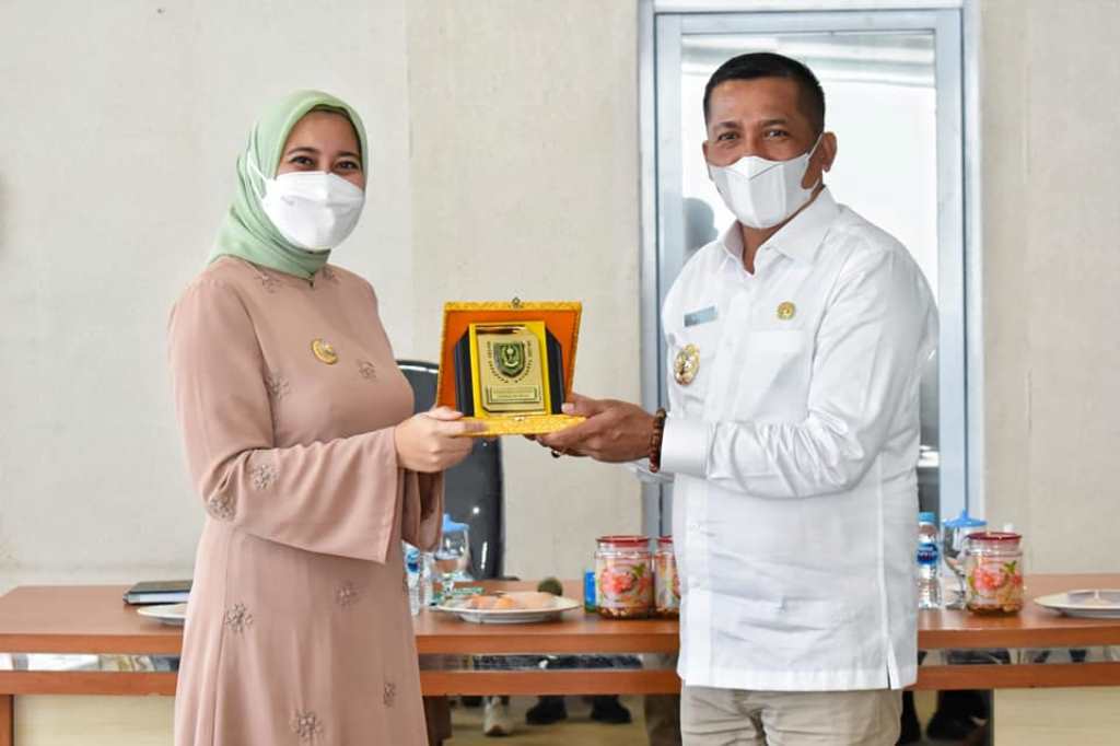 Bupati Inhu dan Bupati Kepulauan Meranti Sepakati Kerjasama Bidang Kesehatan