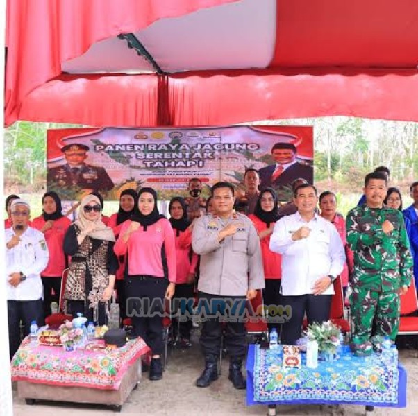 Ketua DPRD Rohil Bersama Forkopimda Ikuti Zoom Meeting Panen Raya Jagung Serentak