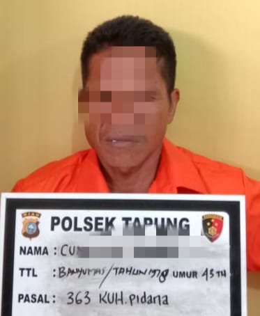 Tertangkap Tangan Nyuri Sawit, Tersangka dan 1 Unit Dump Truk Diamankan Polsek Tapung