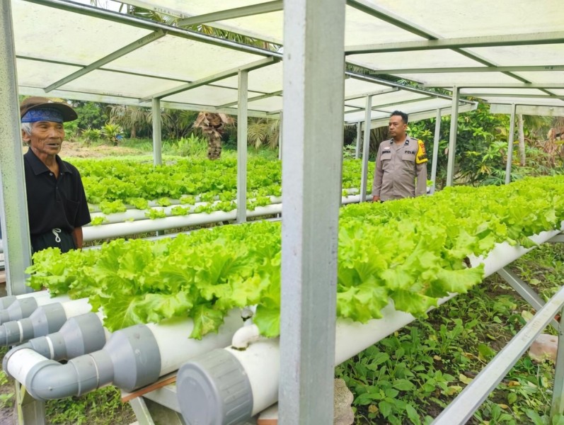 Aipda Rendra Afridona Sambangi Warga Bukit Meranti, Dorong Optimalisasi Lahan Sayuran