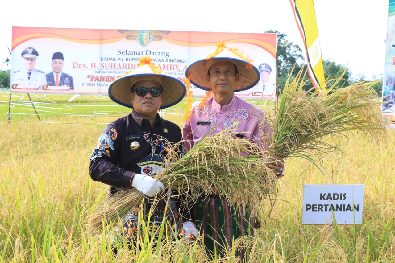 Meski Panen Raya Padi, Suhardiman Tetap Beri  'PR' Distan Swasembada Pangan