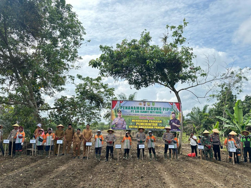 Gandeng Polres Inhu, PT SIR Salurkan CSR dengan Menanam Jagung