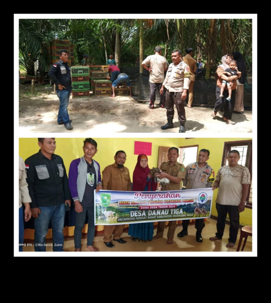 Dukung Ketahanan Pangan, Pemdes Danau Tiga Salurkan Bantuan Bebek Untuk Masyarakat