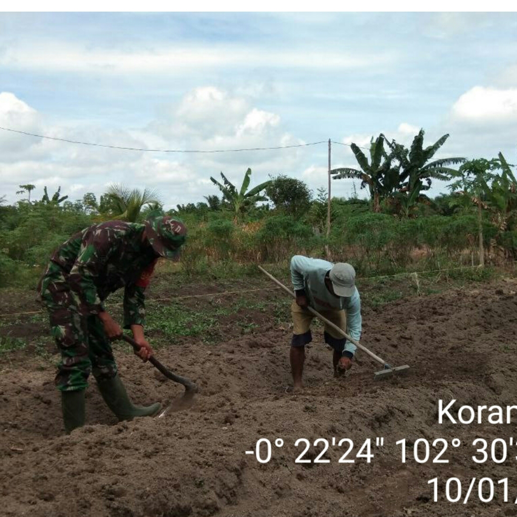 Petani Merasa Senang dengan Dibantu TNI Dalam Pengolahan Lahan Pertanian