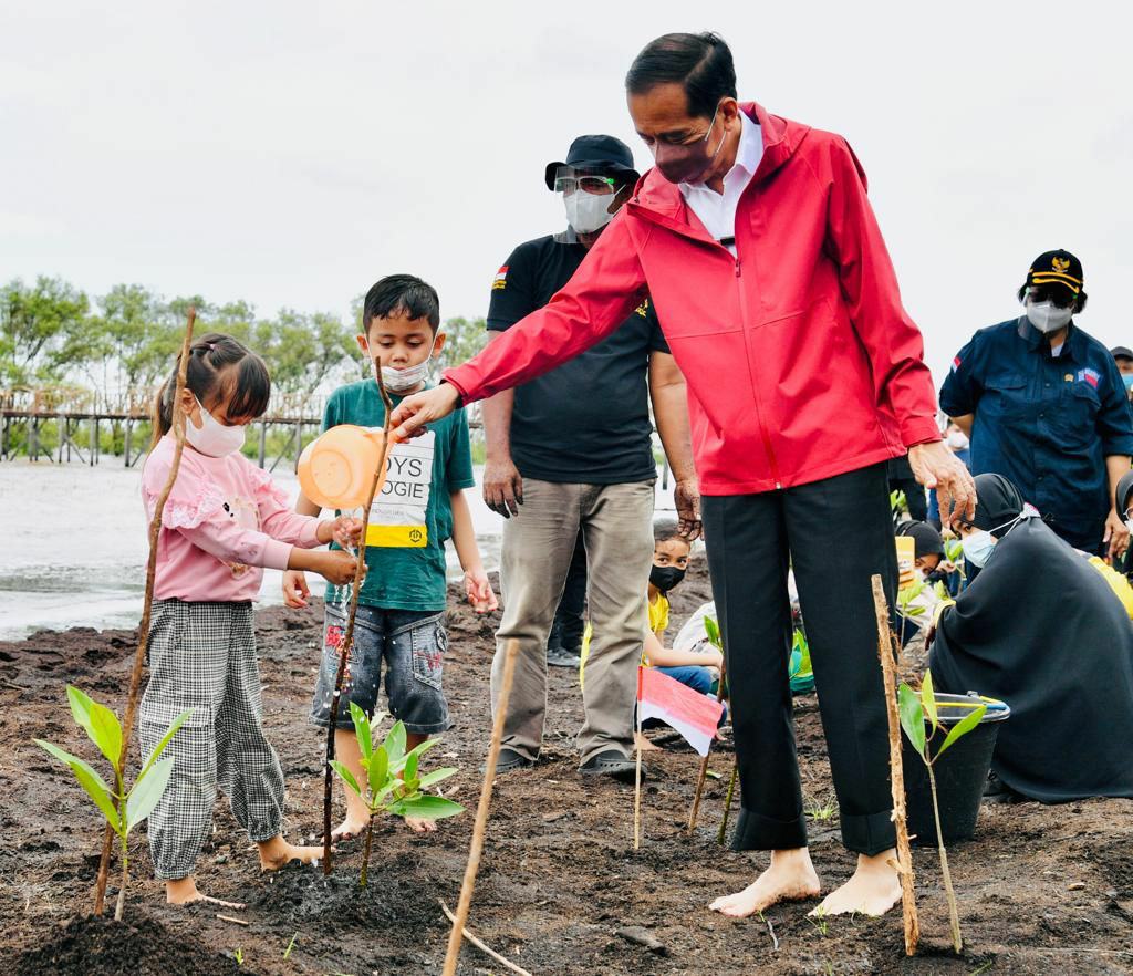 Kisah PKPRM Mangrove di Riau (3-habis), Presiden Jokowi Datangi Penanam Mangrove