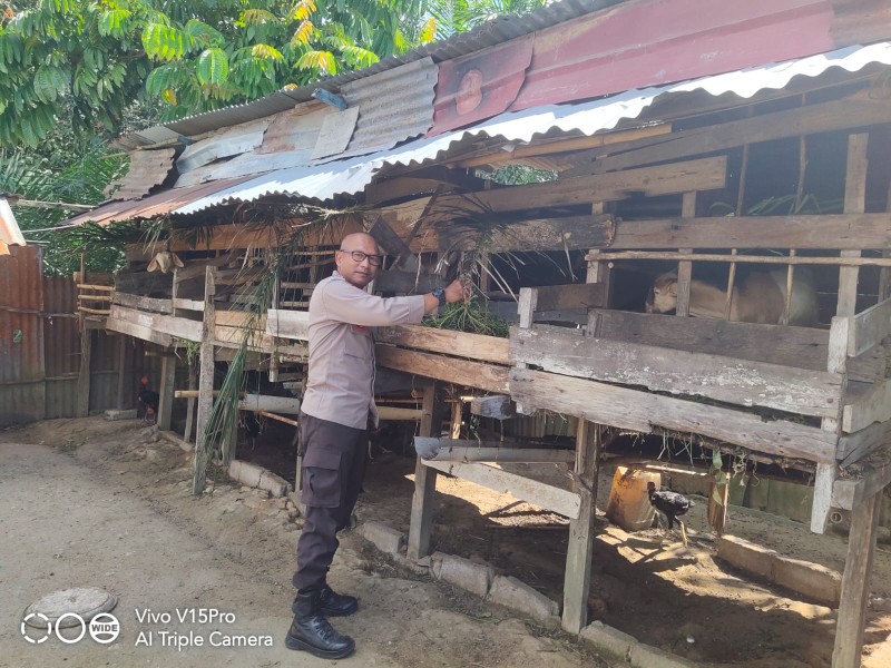 Dukung Ketahanan Pangan Nasional, Bhabinkamtibmas Polsek Seberida Sambangi Peternak Kambing di Desa Titian Resak