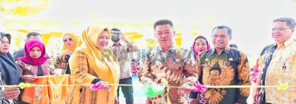 UPT Instalasi Farmasi Diresmikan Bupati, Dinkes Rohil Upayakan Penuhi Semua Obat-obatan
