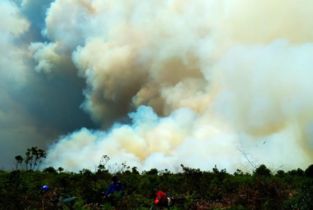 Kebakaran Hutan dan Lahan di Indragiri Hilir Meluas