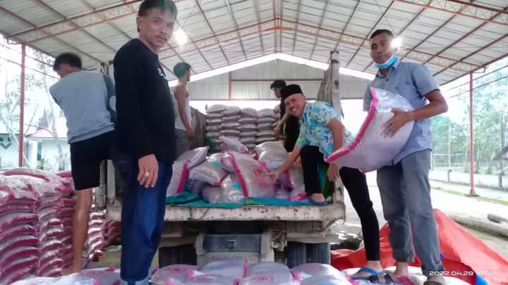 13 Ton Benih Padi Unggul dari Desa Tanjung Simandolak, Siap Di  Luncurkan Ke Rohil