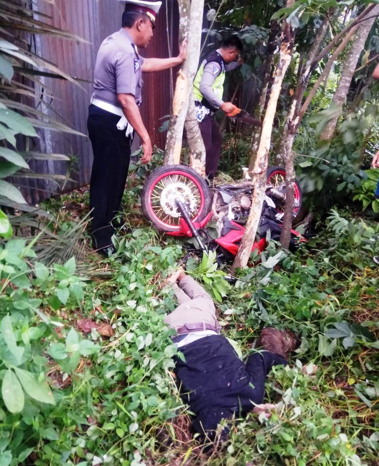 Diduga Tabrak Pohon Karet, Pengendara CBR Tewas di Jalintim Inhu