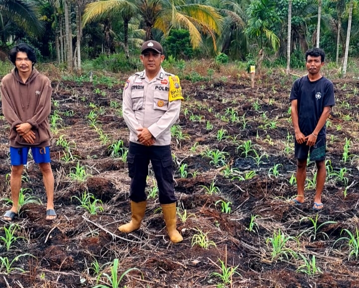 Bhabinkamtibmas Turun ke Kebun, Pastikan Tanaman Jagung Warga Teluk Belengkong Tumbuh Maksimal