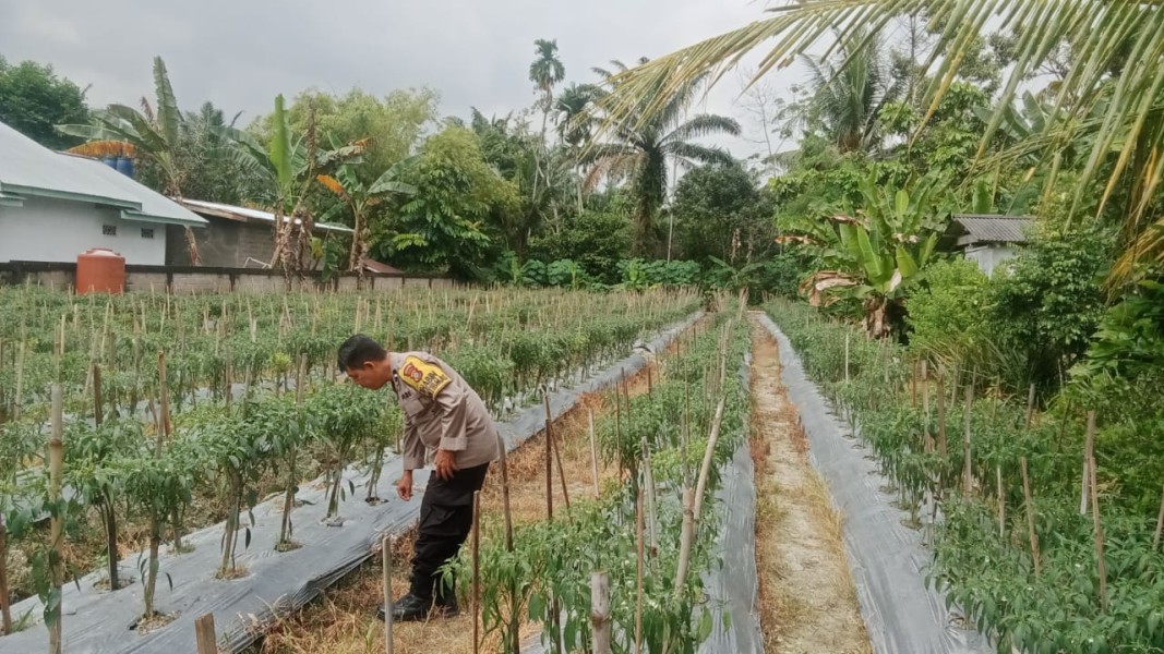 Bhabinkamtibmas Desa Beligan Aktif Dorong Warga Manfaatkan Pekarangan untuk Ketahanan Pangan