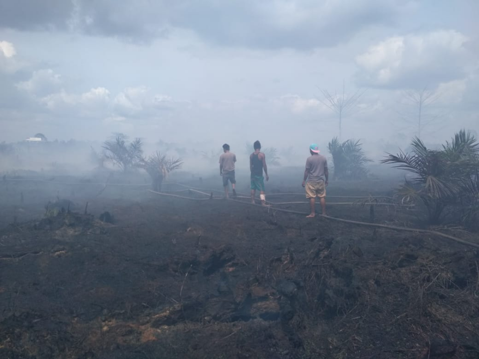 Tim Gabungan Berhasil Padamkan Kebakaran Lahan di Desa Sei Raya, Inhu