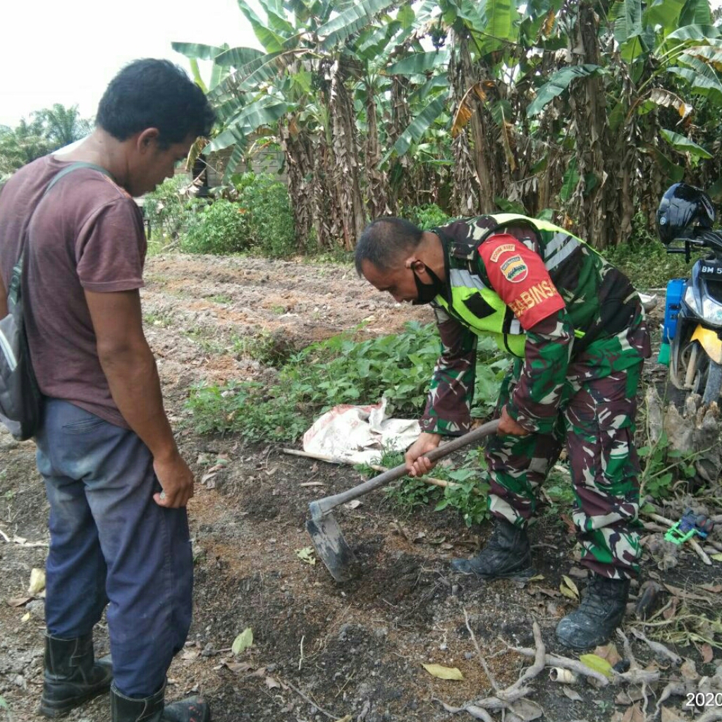 TNI dan Warga, Olah Lahan Pertanian untuk Tanaman Cabai