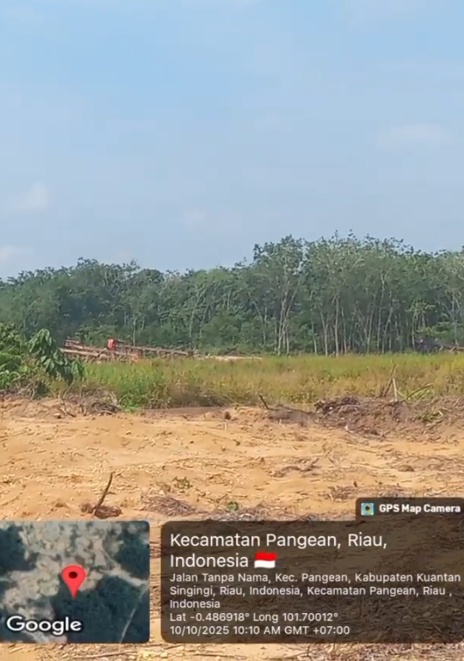 60 Rakit Peti Beroperasi  Bebas Setiap Hari Dapat Perlindungan Oknum Tertentu  Di Kasang Limau Sundai