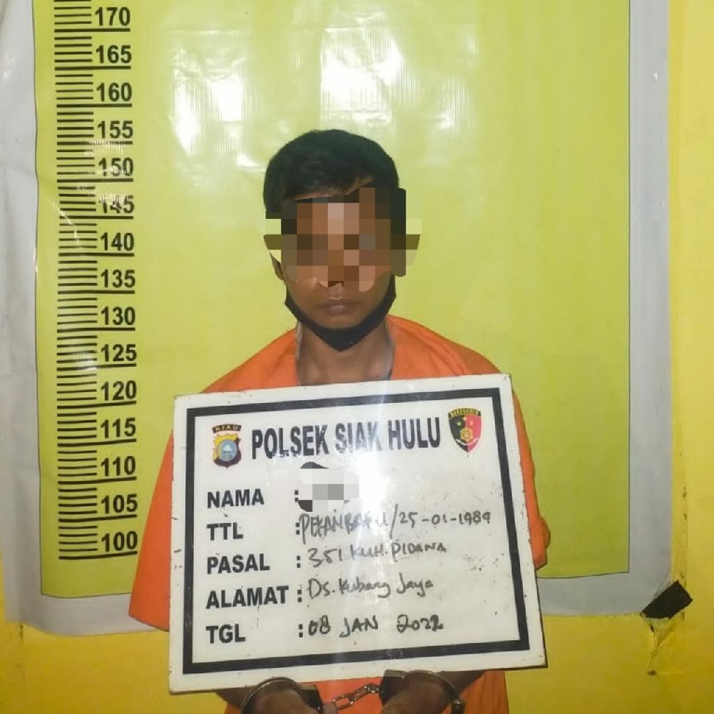 Pukul Korbannya dengan Besi Holo, Pria di Kubang Jaya Ditangkap Reskrim Polsek Siak Hulu 