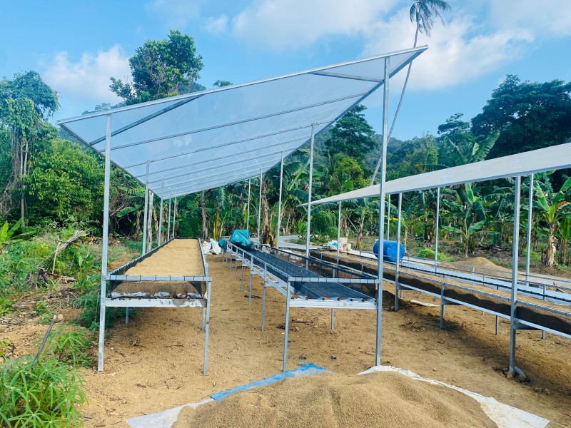 BumDes Serasan Bangun 4 Greenhouse untuk Tingkatkan Ketahanan Pangan dan Lapangan Kerja