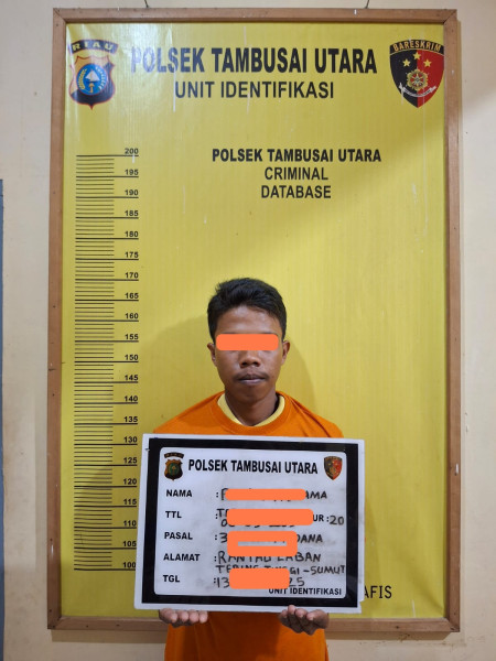 Polsek Tambusai Utara Ungkap Kasus Curas di Desa Bangun Jaya dalam Waktu 12 Jam