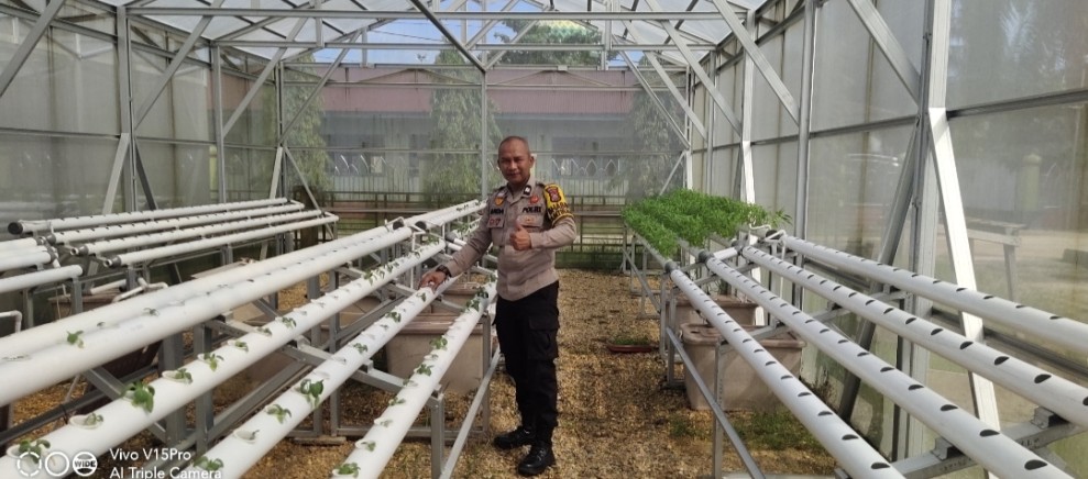 Program Ketahanan Pangan, Polsek Seberida Manfaatkan Lahan Pekarangan untuk Tanaman Produktif