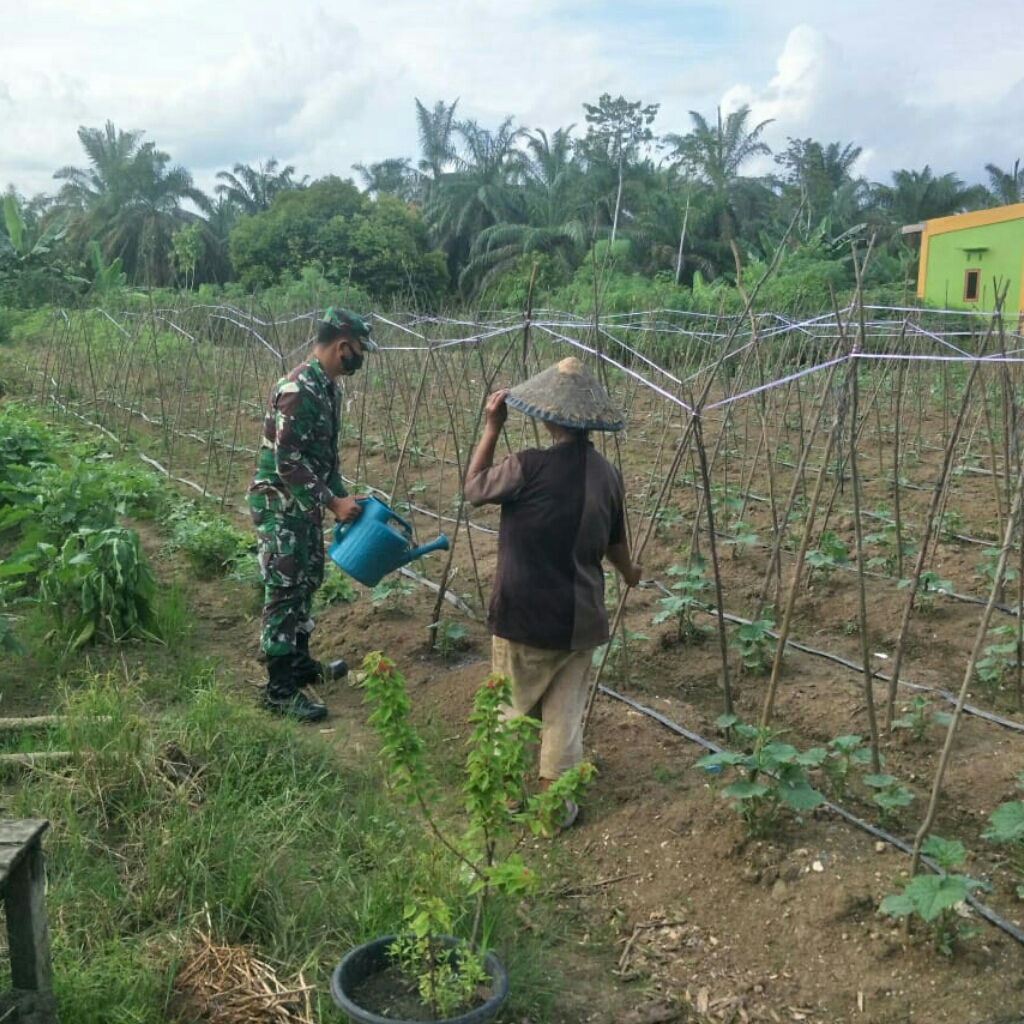 Dimusim Kemarau, TNI Turun Bantu Petani Menyiram Tanaman