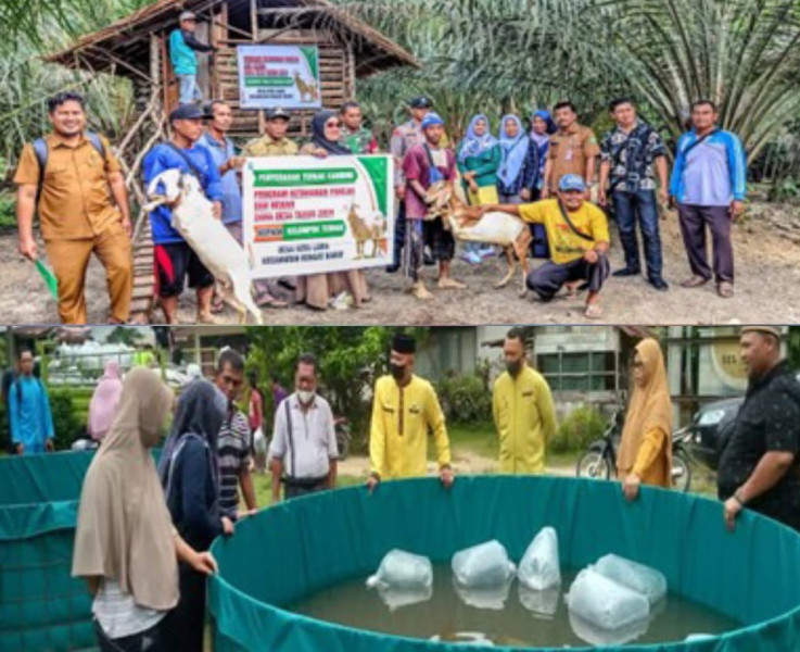 Pemdes Kota Lama Optimalkan Program Ketahanan Pangan, Serahkan Benih Ikan Lele dan Bibit Ternak Kambing