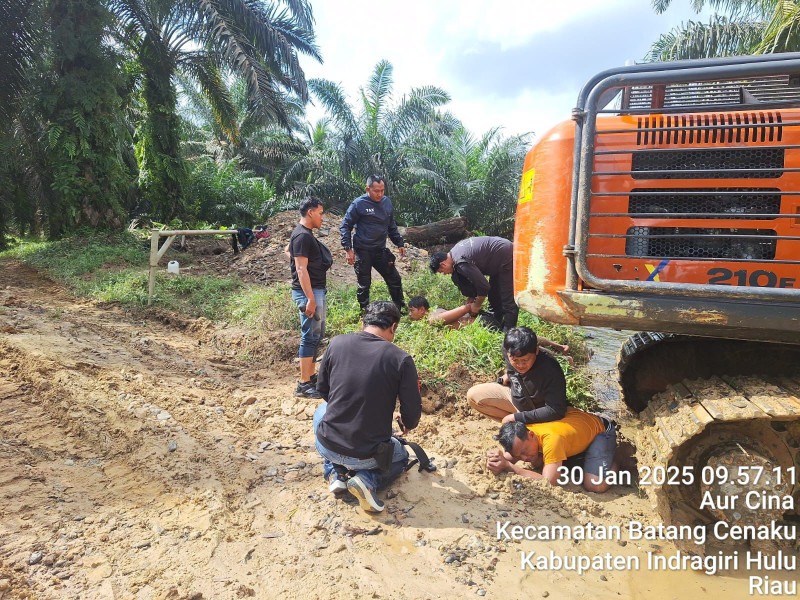 Penggarap Kawasan Hutan di Pejangki Diamankan Polres Inhu