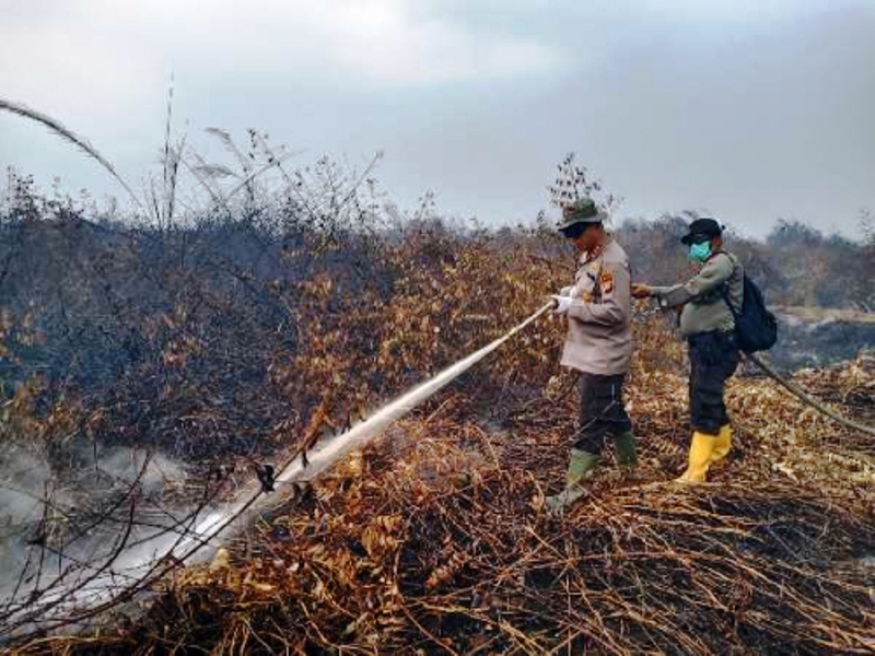 50 Hektar Lahan di Inhu Kembali Terbakar