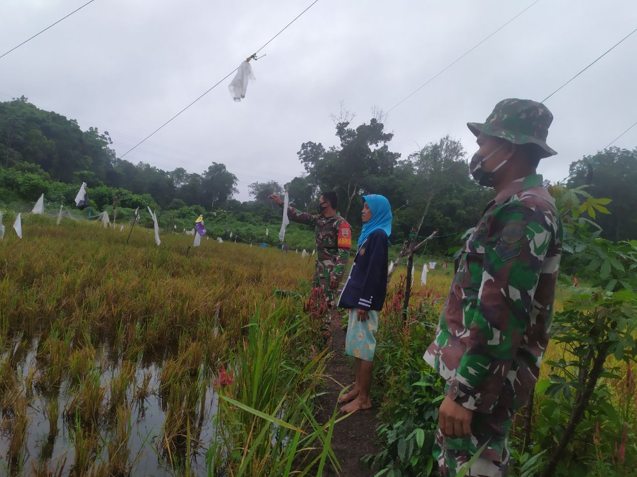 Sambangi Petani, Serda Wahyu Turun Kesawa Halau Hama Burung