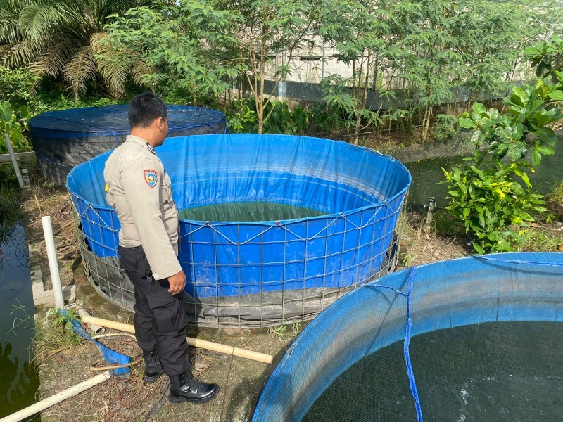 Bhabinkamtibmas Desa Payarumbai Dukung Ketahanan Pangan Nasional Lewat Budidaya Ikan Gurami