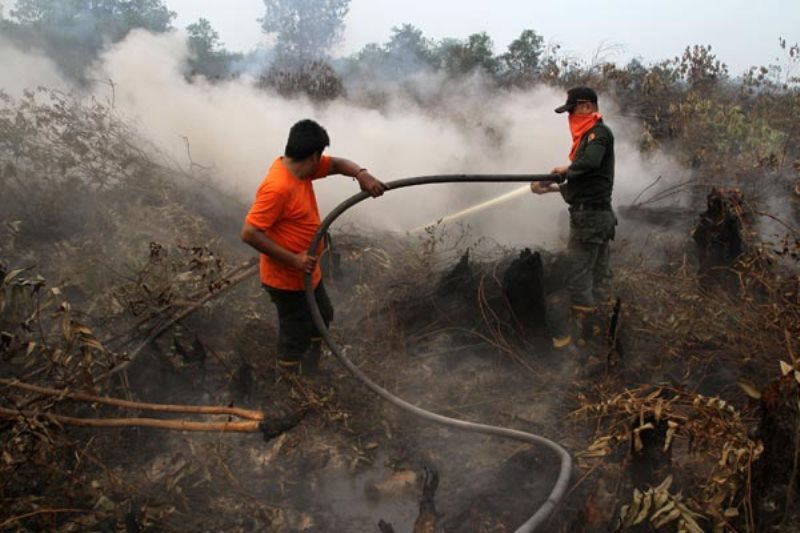 Ketika Masyarakat Riau Didera Asap Karhutla, Gubernur Syamsuar Malah ke Thailand