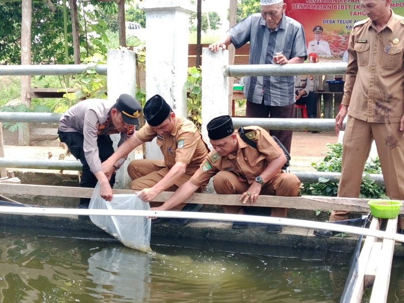 Tebar Bibit Ikan, Tanam Pohon, dan Gerakan Pangan Murah Warnai Kegiatan di Desa Teluk Aur Rambah Samo