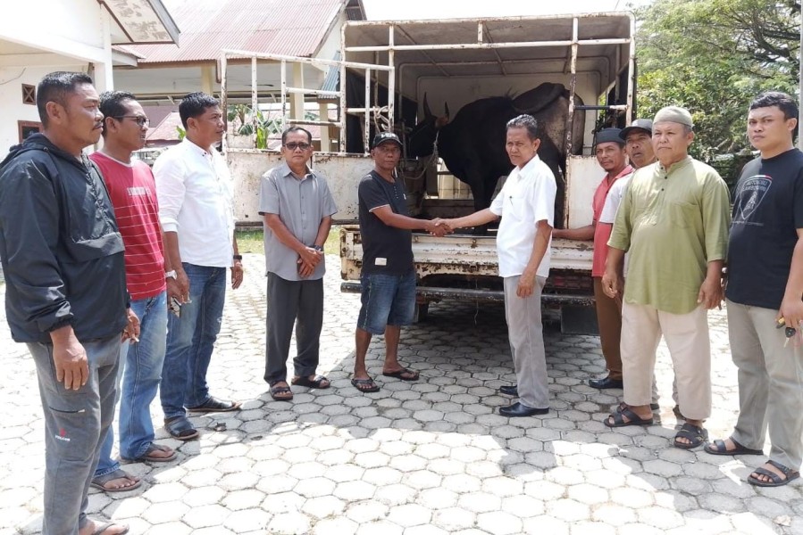 CSR PT SBL, Wujud Nyata Kepedulian Sosial Lewat Kurban Idul Adha 2025 di Kuansing