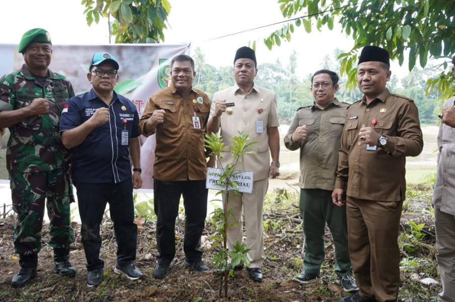 Hadiri Penghijauan DAS Di Sungai Manau Kadis DLH Riau Janjikan Percepatan Izin Kayu Jalur