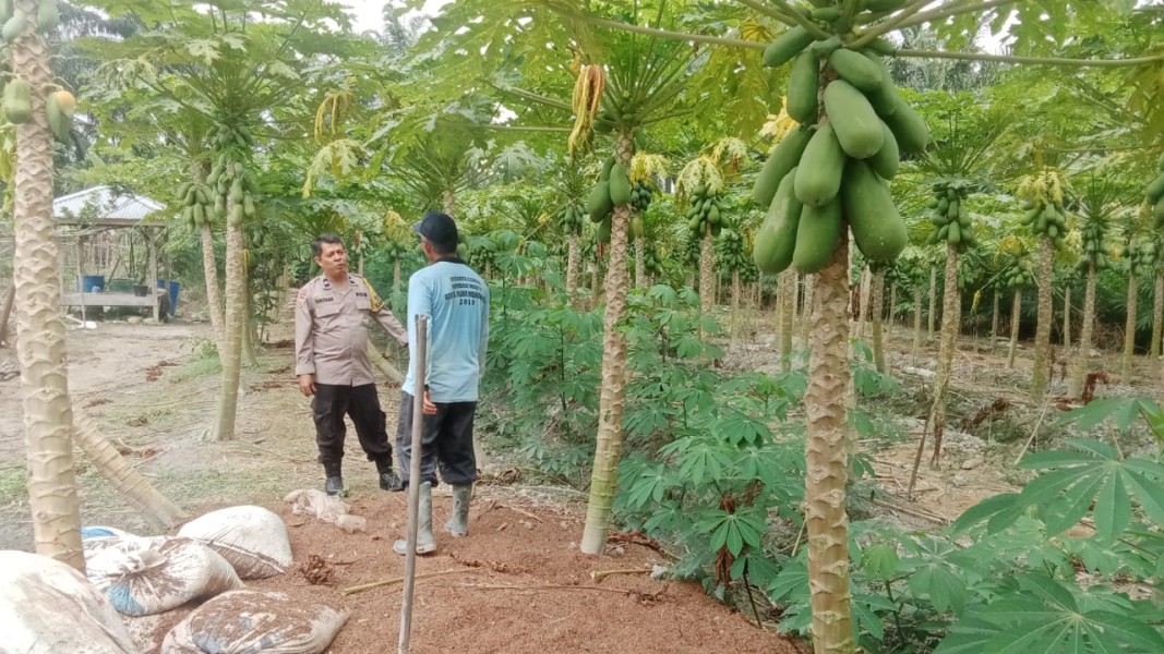 Bhabinkamtibmas Desa Beligan Aktif Dorong Ketahanan Pangan Lewat Pemanfaatan Pekarangan Warga