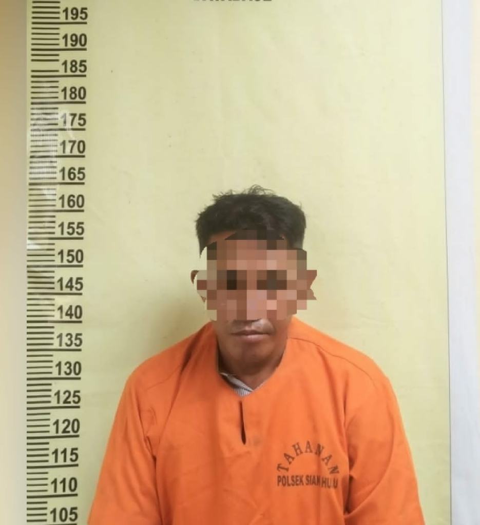 Tangkap Bandar Narkoba, Unit Reskrim Polsek Siak Hulu Temukan BB 77 Gram Shabu