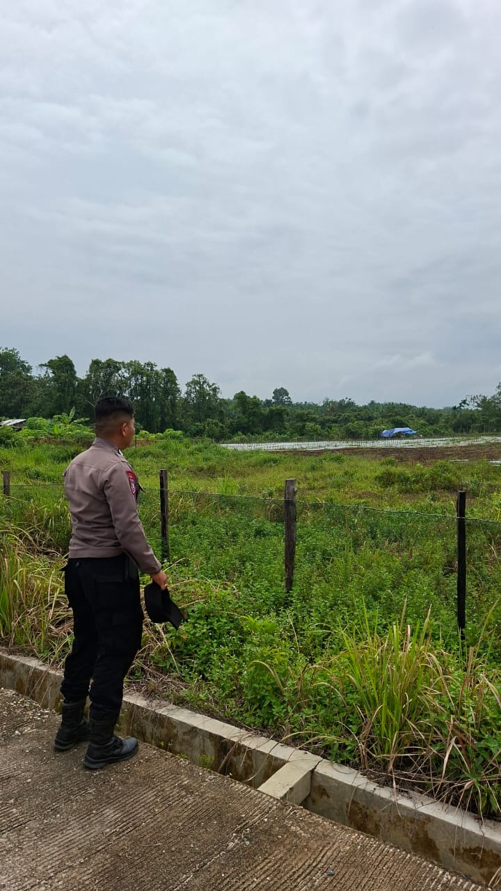 Dukung Ketahanan Pangan Polsek Benai Cek Kesiapan Lahan Penanaman Jagung Pipil di Desa Benai Kecil