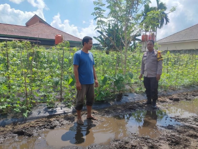 Polsek Seberida Dorong Pemanfaatan Pekarangan, Tanam Kacang Panjang di Desa Buluh Rampai